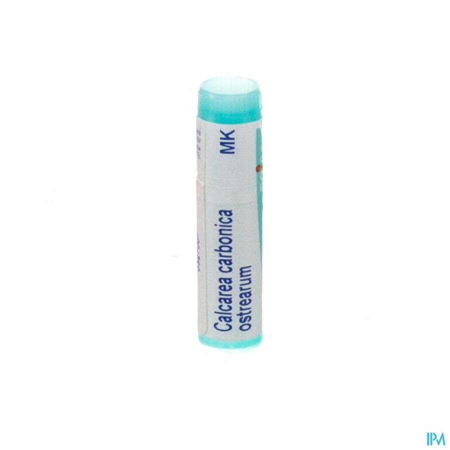 Boiron Calcarea Carbonica Ostrearum MK Globulen 