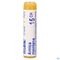 Boiron Arnica Montana 15CH Globulen