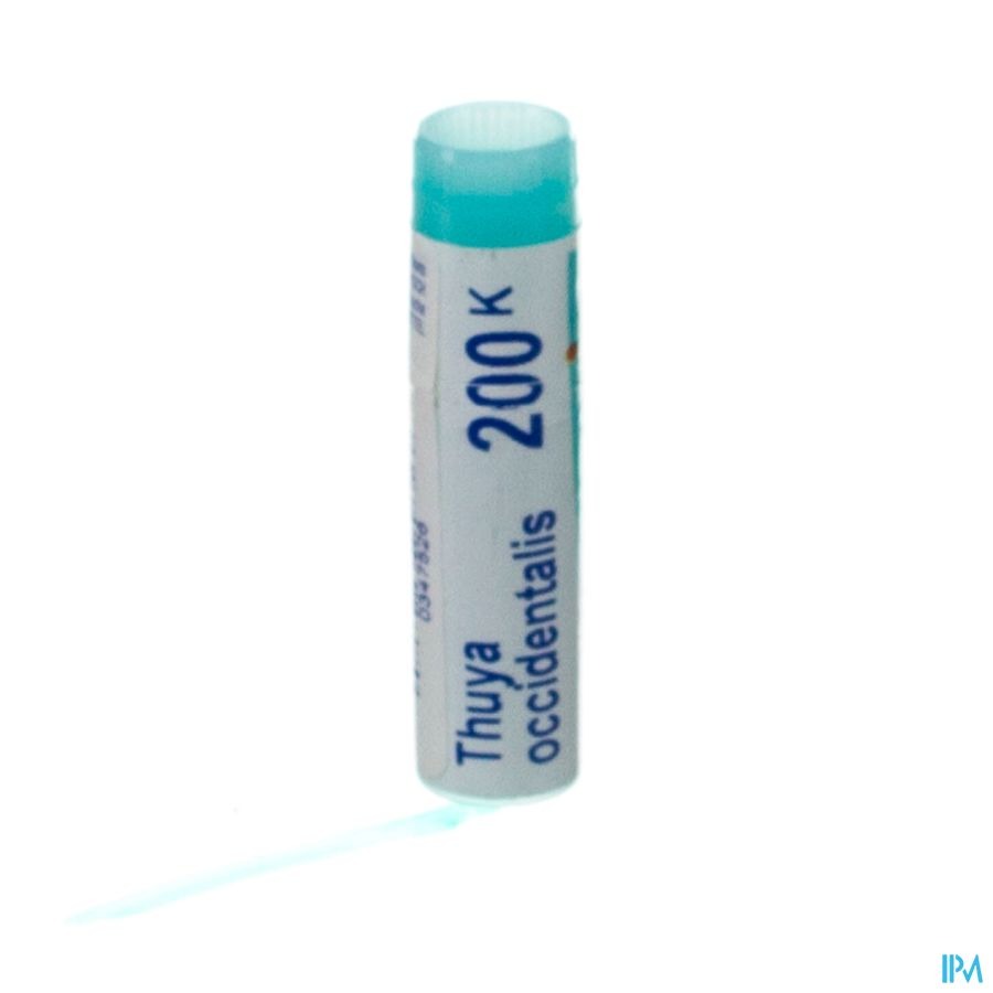 Boiron Thuy Occidentalis 200K Globulen