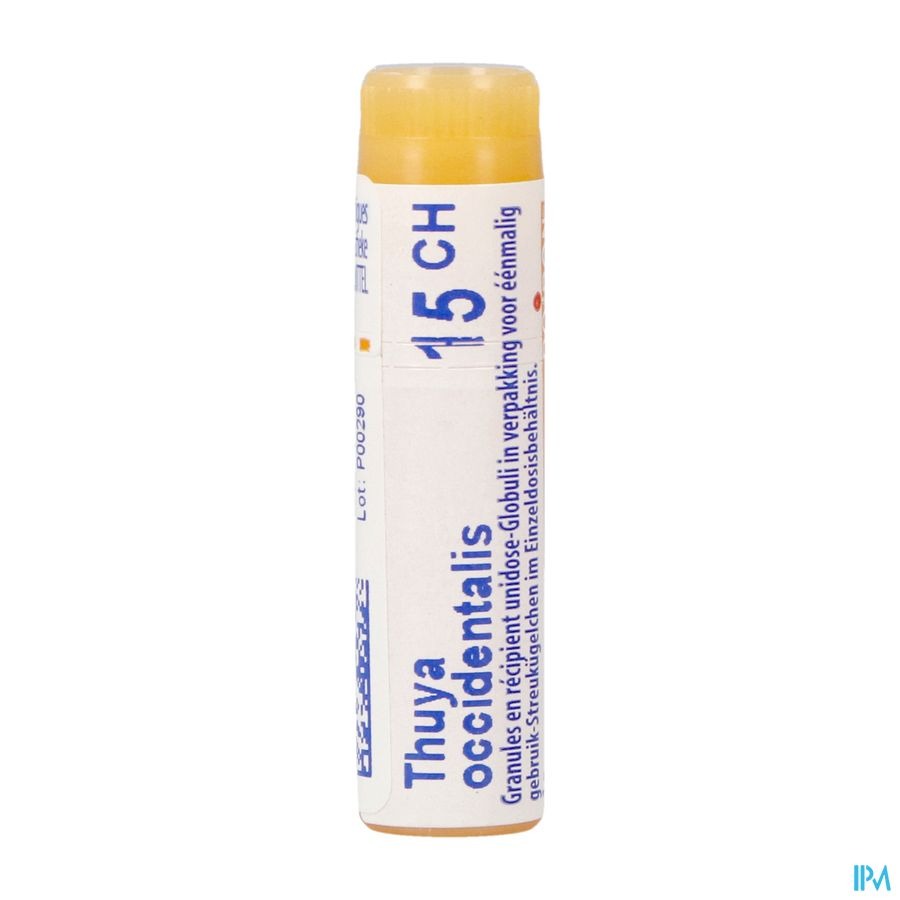 Boiron Thuya Occidentalis 15CH Globulen