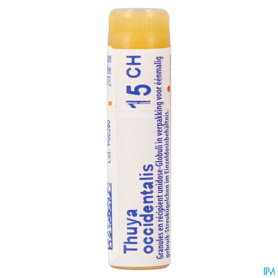 Boiron Thuya Occidentalis 15CH Globulen