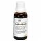 Euphorbium Comp.s Drupp 30ml Heel