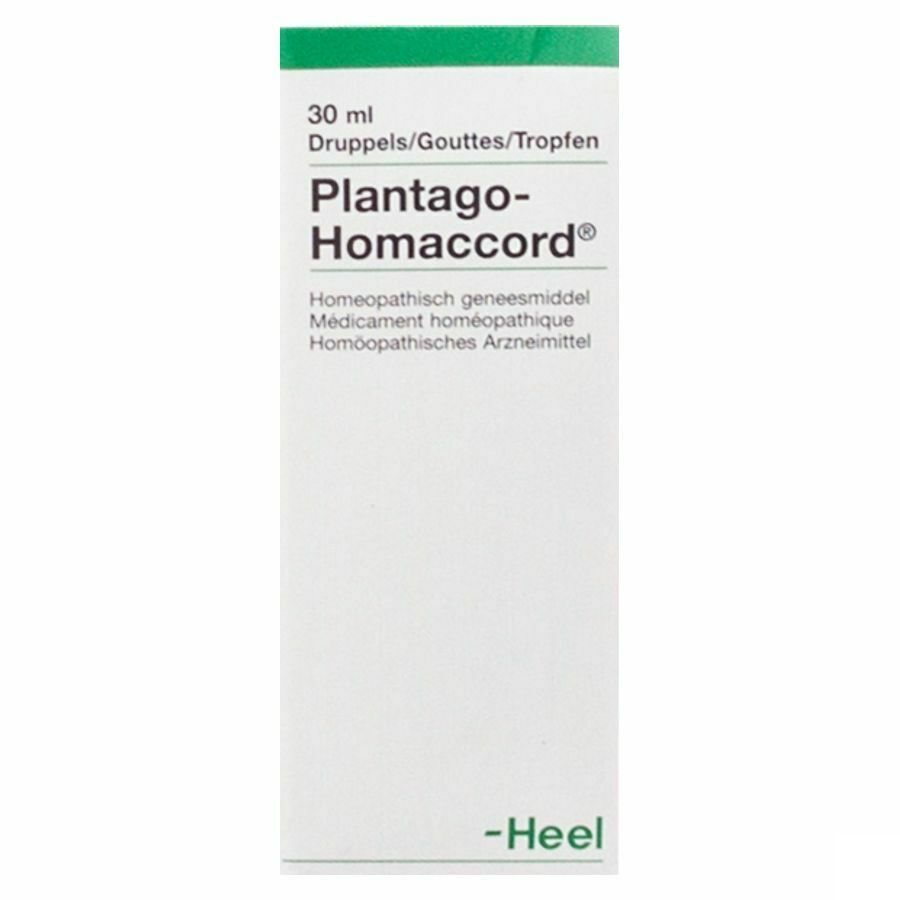 Plantago-homaccord Gutt 30ml Heel