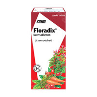 Salus Floradix 84 Tabletten
