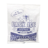 Instant Ice Cp/ Kp Cryoth 19x14cm