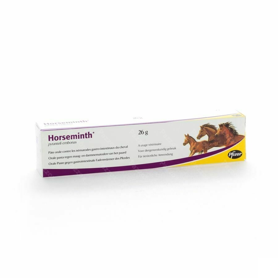 Horseminth Pasta Spuit 1x26g