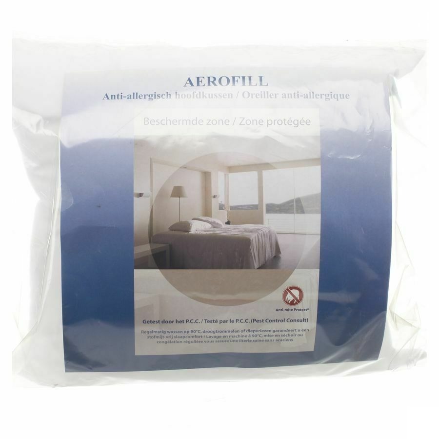 Amp Hoofdkussen + Hoes 60x60cm