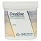 Creatine Monohydraat Pdr Oplosbaar 250g Deba