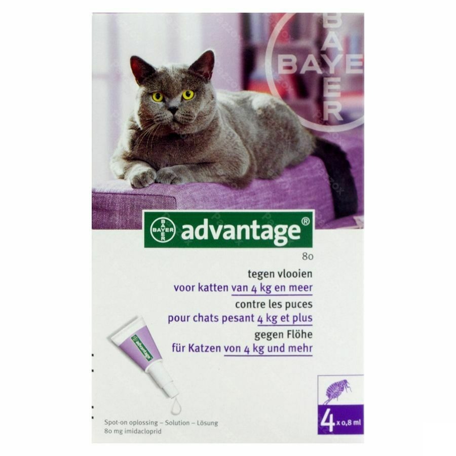 Advantage 80 Katten >4kg 4x0,8ml