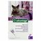 Advantage 80 Katten >4kg 4x0,8ml