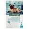 Advantage 100 Honden 4<10kg 4x1,0ml