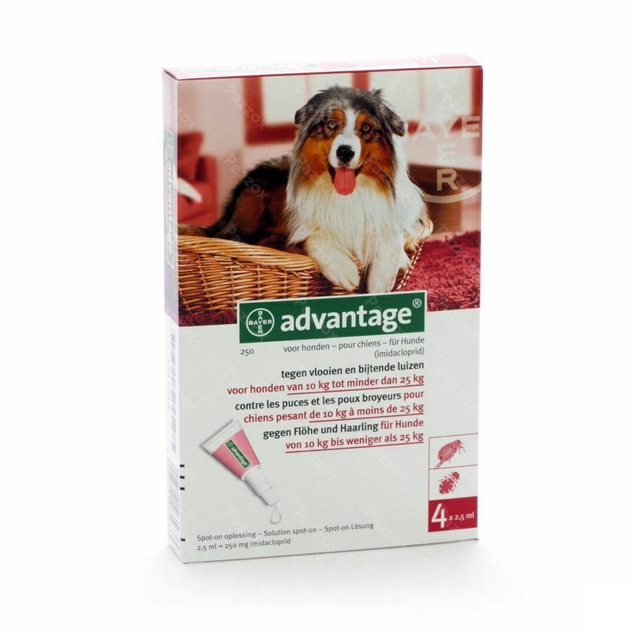 Advantage 250 Honden 10<25kg 4x2,5ml