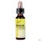 Bach Rescue Gutt 10ml