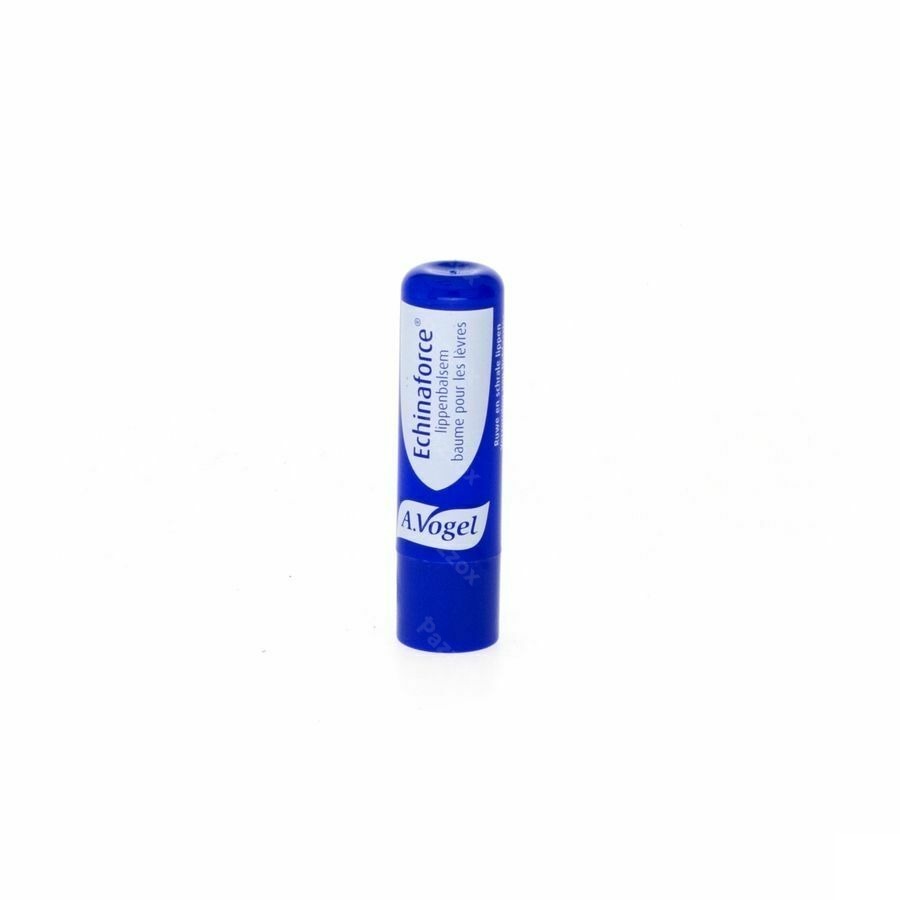 Vogel Echinaforce Balsem Lippen 5g