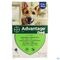 Advantage 400 Honden 25<40kg 4x4ml