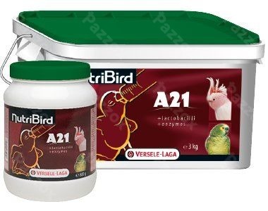 Nutribird A21 3kg Handopfokvoer Voor Alle Baby Vogels