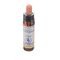 Healing Herbs Star Bethlehem 10ml