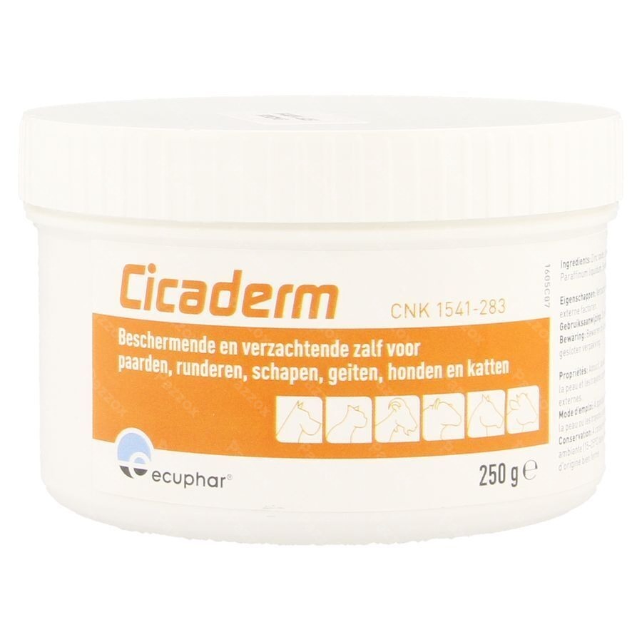 Cicaderm Zalf 250g
