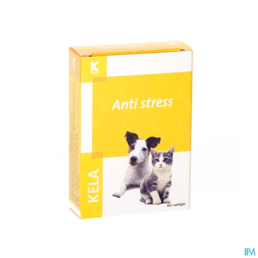 Anti Stress 60 Tabletten