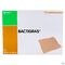 Bactigras Verband 10cmx10cm 10 7457