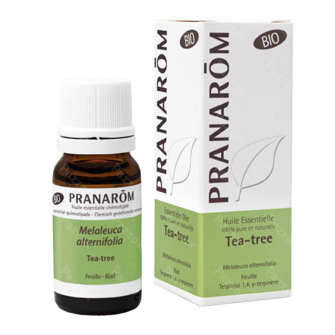 blouse hemel Pigment Pranarôm Essentiële Olie Tea Tree 10ml kopen - Pazzox