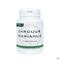 Dynar Caardus Marianus 100 Tabletten