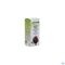 Grote Klis Tinct Bio 50ml Biov