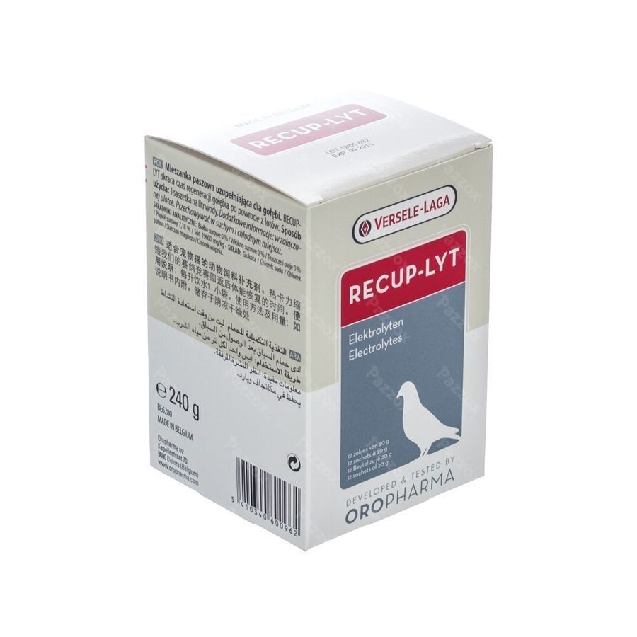 Recup-Lyt Poeder 12 Zakjes