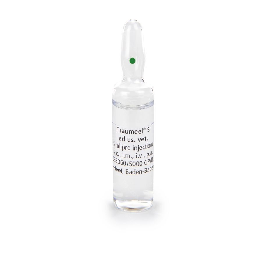 Traumeel S Ad Us.vet Amp 50x5,0ml