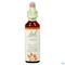 Bach Flower Remedie 02 Aspen 20ml