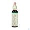 Bach Flower Remedie 04 Centaury 20ml