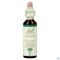 Bach Flower Remedie 04 Centaury 20ml