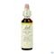 Bach Flower Remedie 07 Chestnut Bud 20ml