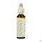Bach Flower Remedie 07 Chestnut Bud 20ml