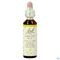 Bach Flower Remedie 07 Chestnut Bud 20ml