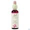 Bach Flower Remedie 10 Crab Apple 20ml
