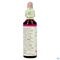 Bach Flower Remedie 10 Crab Apple 20ml
