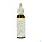 Bach Flower Remedie 17 Hornbeam 20ml