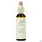 Bach Flower Remedie 17 Hornbeam 20ml