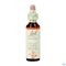 Bach Flower Remedie 20 Mimulus 20ml