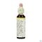 Bach Flower Remedie 23 Olive 20ml