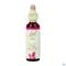 Bach Flower Remedie 24 Pine 20ml