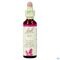 Bach Flower Remedie 24 Pine 20ml