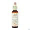Bach Flower Remedie 26 Rock Rose 20ml