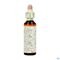 Bach Flower Remedie 26 Rock Rose 20ml