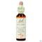 Bach Flower Remedie 26 Rock Rose 20ml
