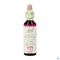 Bach Flower Remedie 29 Star Bethlehem 20ml