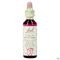 Bach Flower Remedie 29 Star Bethlehem 20ml