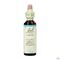 Bach Flower Remedie 31 Vervain 20ml