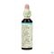 Bach Flower Remedie 31 Vervain 20ml